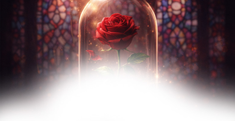 La Beauté et La Bête Collection